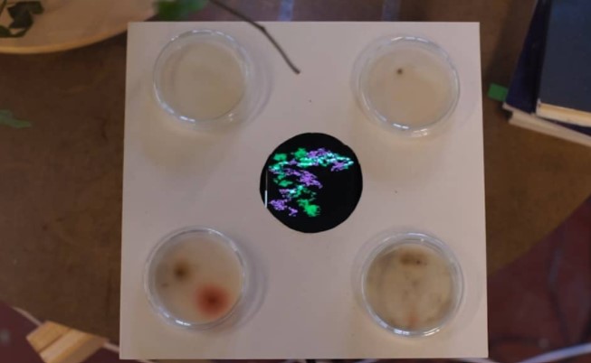 enerative ensemble 2