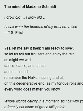 The mind of Madame Schmidt