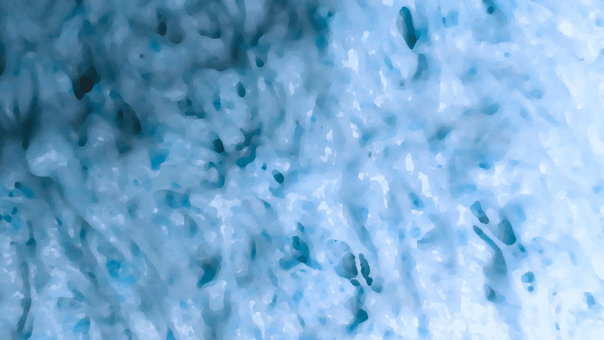 Yeast landscapes / Generative ensemble